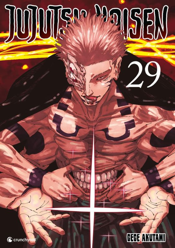 Jujutsu Kaisen 29